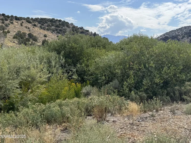 TBD Old Ranch, Gardnerville, Nevada 89410, ,Land,Residential,Old Ranch,250055249