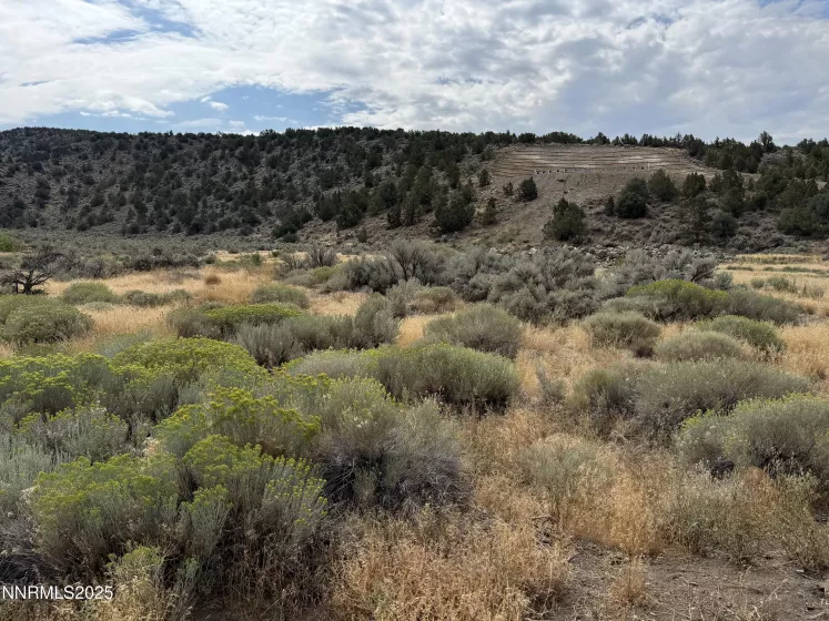 TBD Old Ranch, Gardnerville, Nevada 89410, ,Land,Residential,Old Ranch,250055249