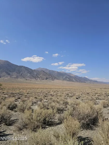 224 Toiyabe, Austin, Nevada 89310, ,Land,Residential,Toiyabe,250055279