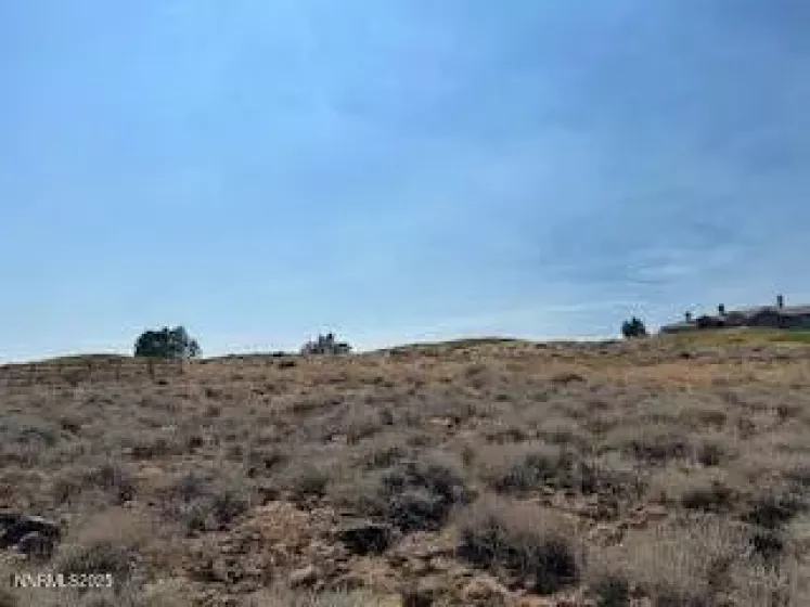5734 River Birch, Reno, Nevada 89511, ,Land,Residential,River Birch,250055323