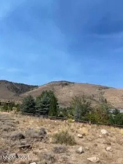 5734 River Birch, Reno, Nevada 89511, ,Land,Residential,River Birch,250055323