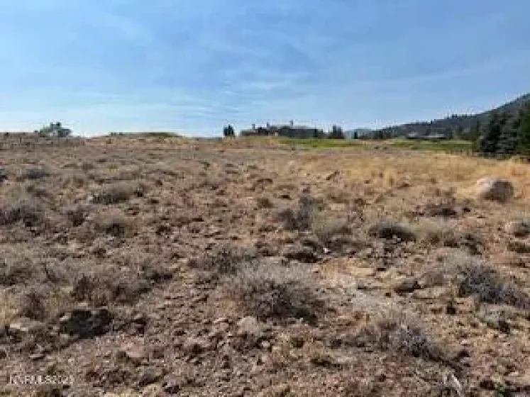 5734 River Birch, Reno, Nevada 89511, ,Land,Residential,River Birch,250055323