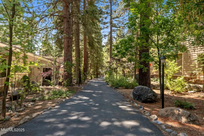121 Juanita, Incline Village, Nevada 89451, 3 Bedrooms Bedrooms, ,2 BathroomsBathrooms,Residential,Residential,Juanita,250055343