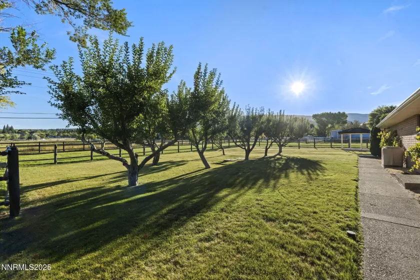 8555 Council, Reno, Nevada 89511, 5 Bedrooms Bedrooms, ,7 BathroomsBathrooms,Residential,Residential,Council,250055353