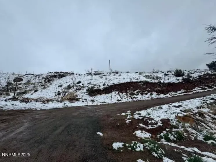 0 Wrangler, Reno, Nevada 89510, ,Land,Residential,Wrangler,250055383