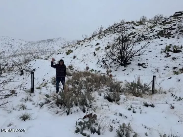 0 Wrangler, Reno, Nevada 89510, ,Land,Residential,Wrangler,250055383