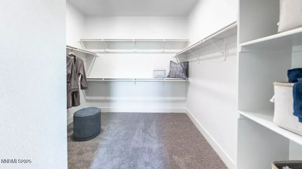 1282 Coco, Carson City, Nevada 89705, 4 Bedrooms Bedrooms, ,2 BathroomsBathrooms,Residential,Residential,Coco,250055449