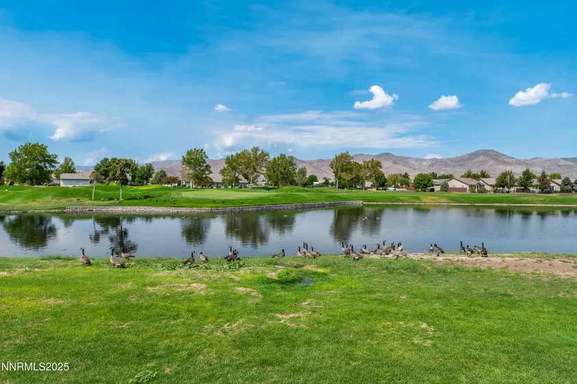 236 La Costa, Dayton, Nevada 89403, 3 Bedrooms Bedrooms, ,3 BathroomsBathrooms,Residential,Residential,La Costa,250055400