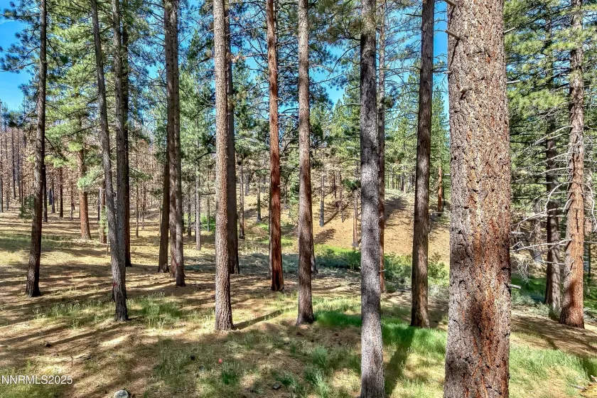 555 Pleasant Valley, Markleeville, California 96120, 2 Bedrooms Bedrooms, ,1 BathroomBathrooms,Residential,Residential,Pleasant Valley,250055453