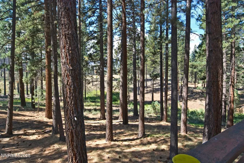 555 Pleasant Valley, Markleeville, California 96120, 2 Bedrooms Bedrooms, ,1 BathroomBathrooms,Residential,Residential,Pleasant Valley,250055453