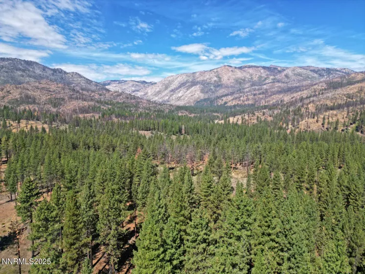 555 Pleasant Valley, Markleeville, California 96120, 2 Bedrooms Bedrooms, ,1 BathroomBathrooms,Residential,Residential,Pleasant Valley,250055453