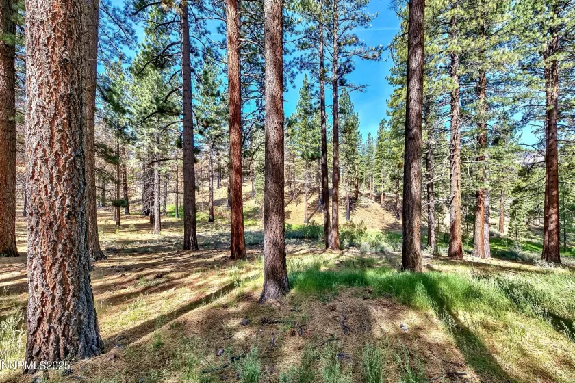 555 Pleasant Valley, Markleeville, California 96120, 2 Bedrooms Bedrooms, ,1 BathroomBathrooms,Residential,Residential,Pleasant Valley,250055453