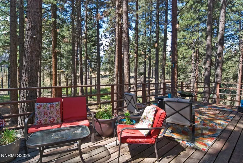 555 Pleasant Valley, Markleeville, California 96120, 2 Bedrooms Bedrooms, ,1 BathroomBathrooms,Residential,Residential,Pleasant Valley,250055453