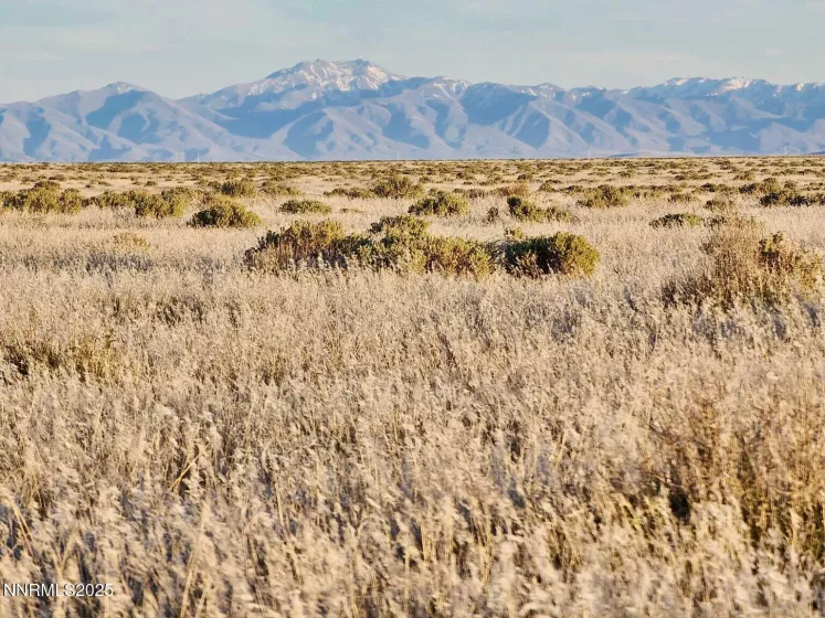 5 Elevenmile Well, Golconda, Nevada 89414, ,Land,Residential,Elevenmile Well,250055483