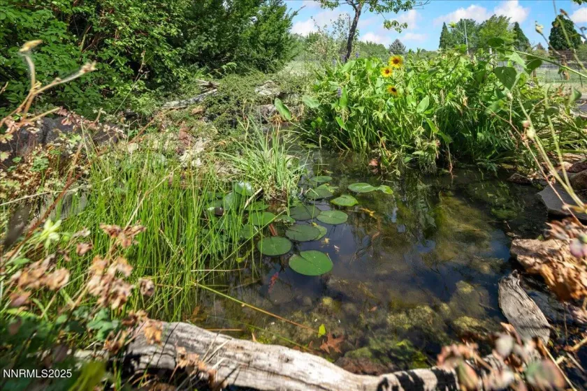 1516 Coleman, Reno, Nevada 89503, 6 Bedrooms Bedrooms, ,4 BathroomsBathrooms,Residential,Residential,Coleman,250055498