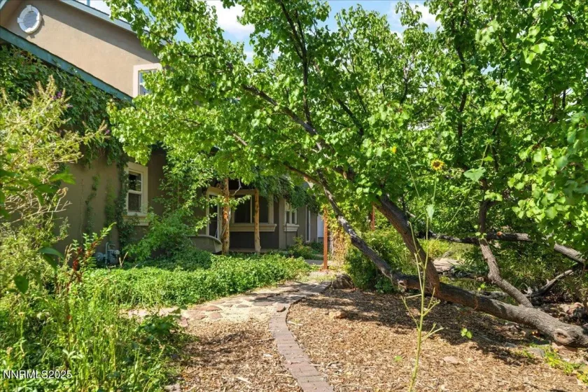 1516 Coleman, Reno, Nevada 89503, 6 Bedrooms Bedrooms, ,4 BathroomsBathrooms,Residential,Residential,Coleman,250055498