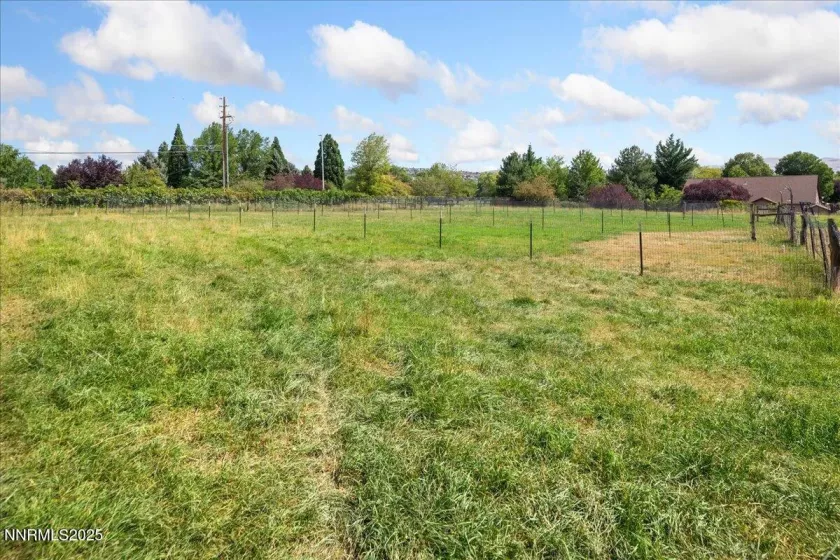 1516 Coleman, Reno, Nevada 89503, 6 Bedrooms Bedrooms, ,4 BathroomsBathrooms,Residential,Residential,Coleman,250055498