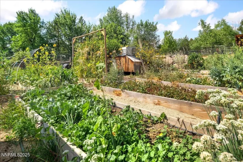 1516 Coleman, Reno, Nevada 89503, 6 Bedrooms Bedrooms, ,4 BathroomsBathrooms,Residential,Residential,Coleman,250055498