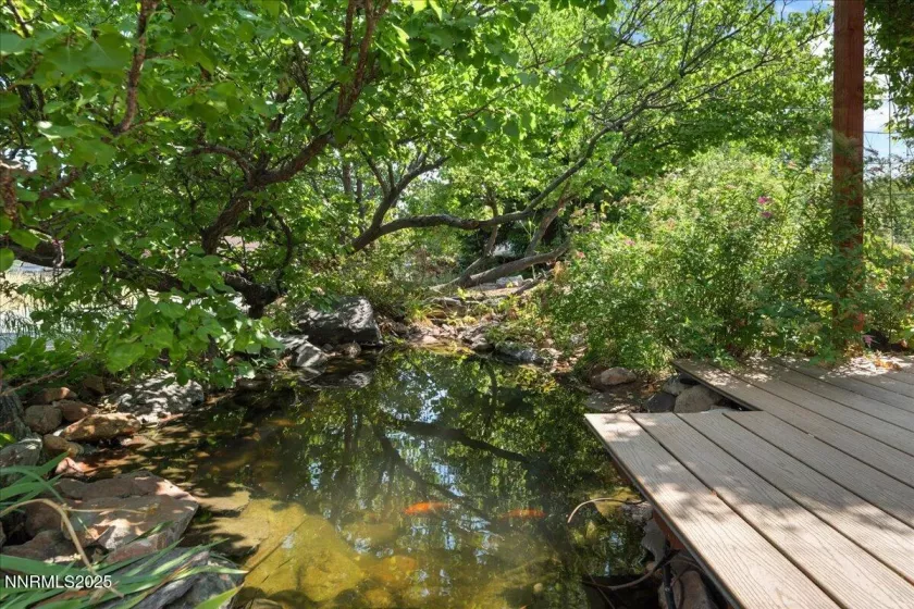 1516 Coleman, Reno, Nevada 89503, 6 Bedrooms Bedrooms, ,4 BathroomsBathrooms,Residential,Residential,Coleman,250055498