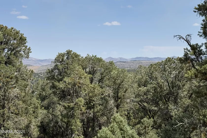 1564 Bonanza, Reno, Nevada 89521, ,Land,Residential,Bonanza,250055525