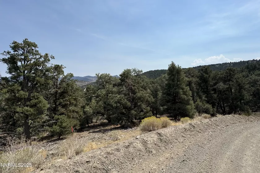 1564 Bonanza, Reno, Nevada 89521, ,Land,Residential,Bonanza,250055525