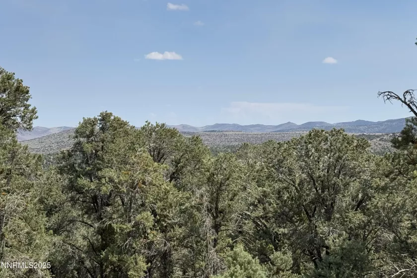 1564 Bonanza, Reno, Nevada 89521, ,Land,Residential,Bonanza,250055525