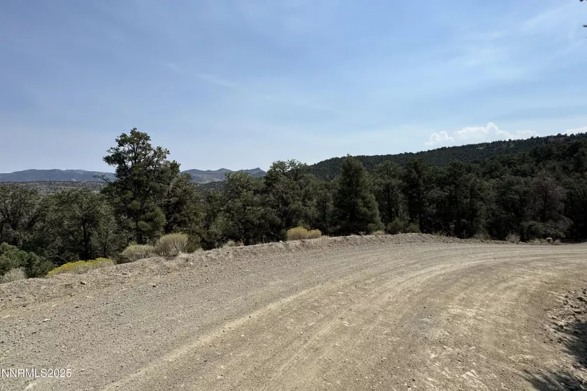 1564 Bonanza, Reno, Nevada 89521, ,Land,Residential,Bonanza,250055525