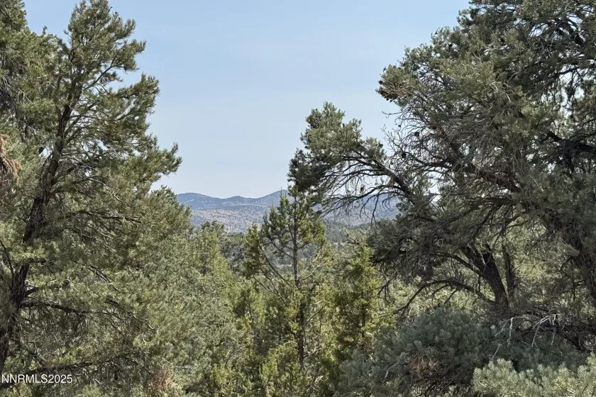 1564 Bonanza, Reno, Nevada 89521, ,Land,Residential,Bonanza,250055525