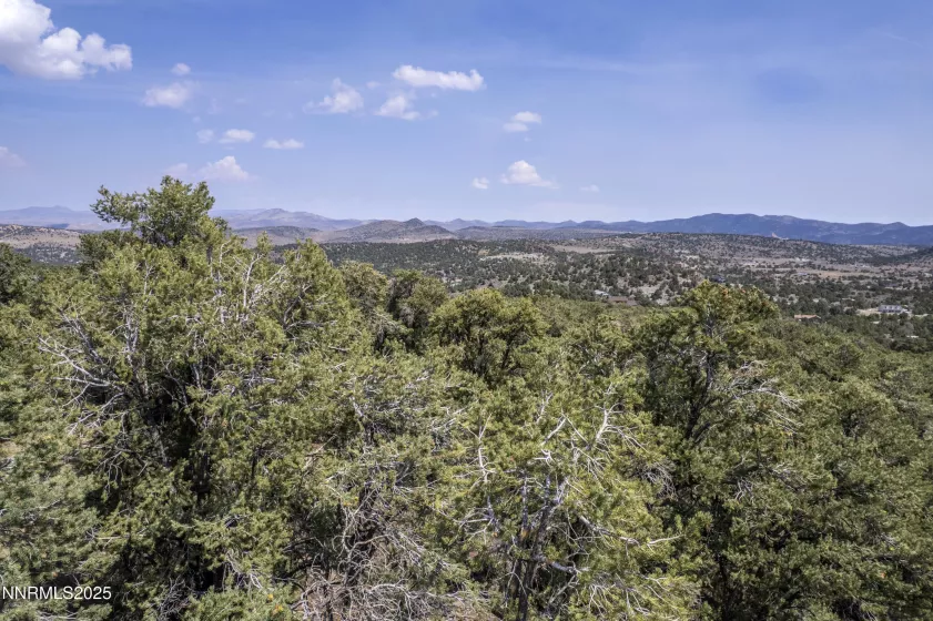 1564 Bonanza, Reno, Nevada 89521, ,Land,Residential,Bonanza,250055525