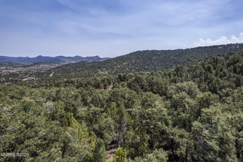 1564 Bonanza, Reno, Nevada 89521, ,Land,Residential,Bonanza,250055525