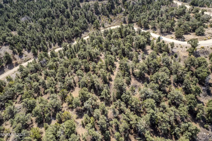 1564 Bonanza, Reno, Nevada 89521, ,Land,Residential,Bonanza,250055525