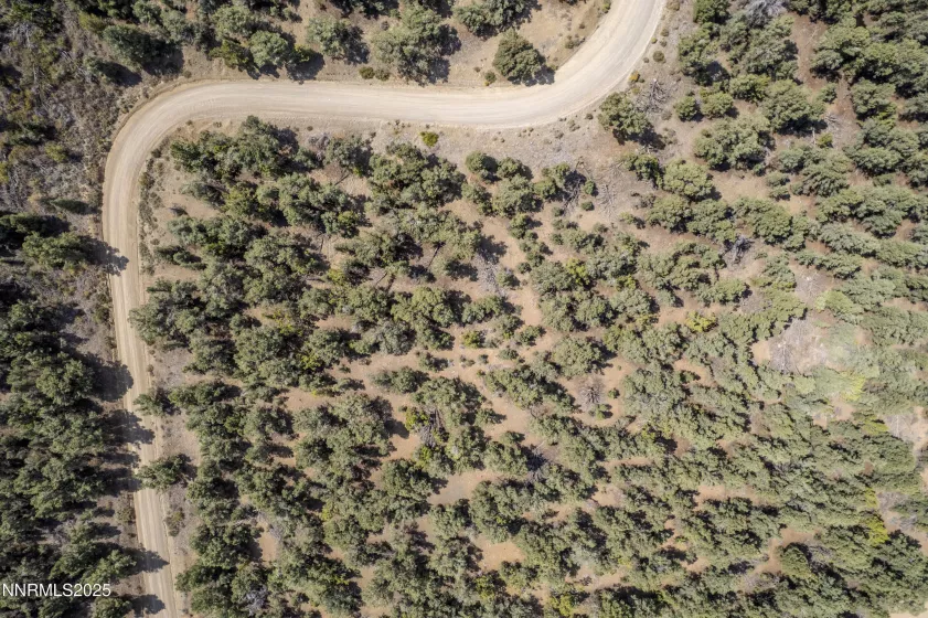 1564 Bonanza, Reno, Nevada 89521, ,Land,Residential,Bonanza,250055525
