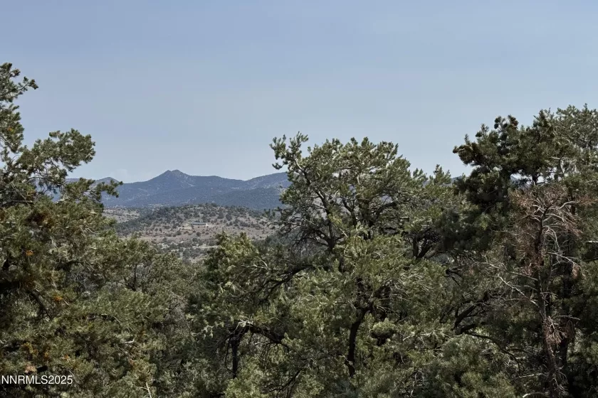 1564 Bonanza, Reno, Nevada 89521, ,Land,Residential,Bonanza,250055525