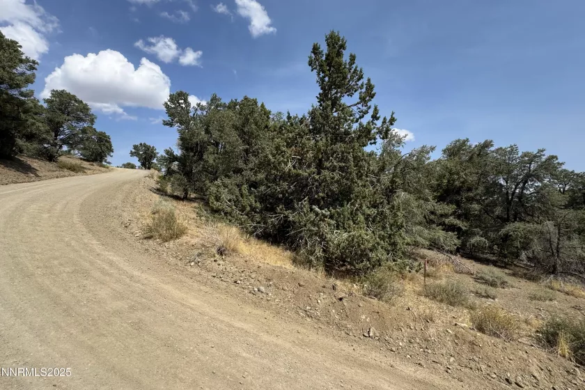 1564 Bonanza, Reno, Nevada 89521, ,Land,Residential,Bonanza,250055525