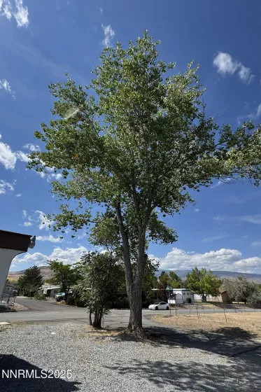 290 Pisces, Reno, Nevada 89521, ,Land,Residential,Pisces,250055547