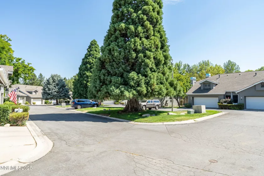 3274 Alum Creek, Reno, Nevada 89509, 2 Bedrooms Bedrooms, ,2 BathroomsBathrooms,Residential,Residential,Alum Creek,250055553