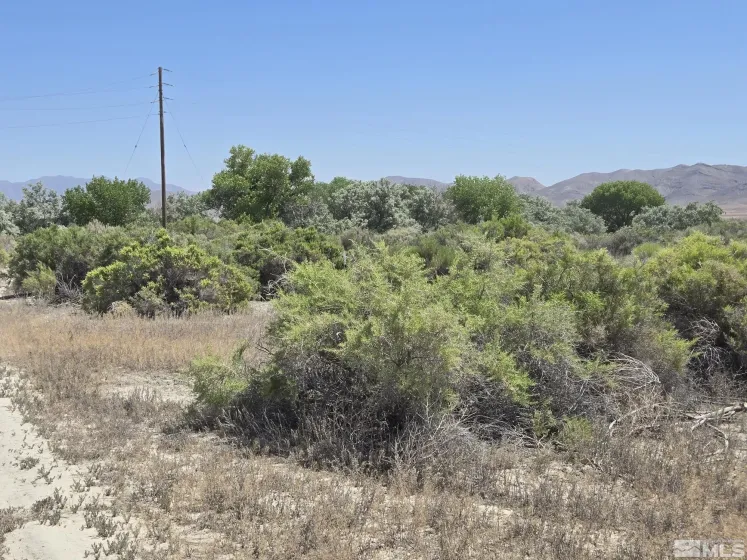 200 Raymond, Lovelock, Nevada 89419, ,Land,Residential,Raymond,0,240011902
