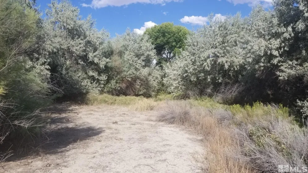 200 Raymond, Lovelock, Nevada 89419, ,Land,Residential,Raymond,0,240011902