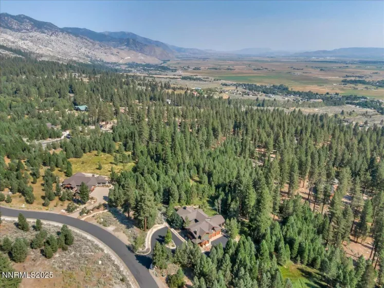 123 Five Creek, Gardnerville, Nevada 89460, 5 Bedrooms Bedrooms, ,7 BathroomsBathrooms,Residential,Residential,Five Creek,250055612