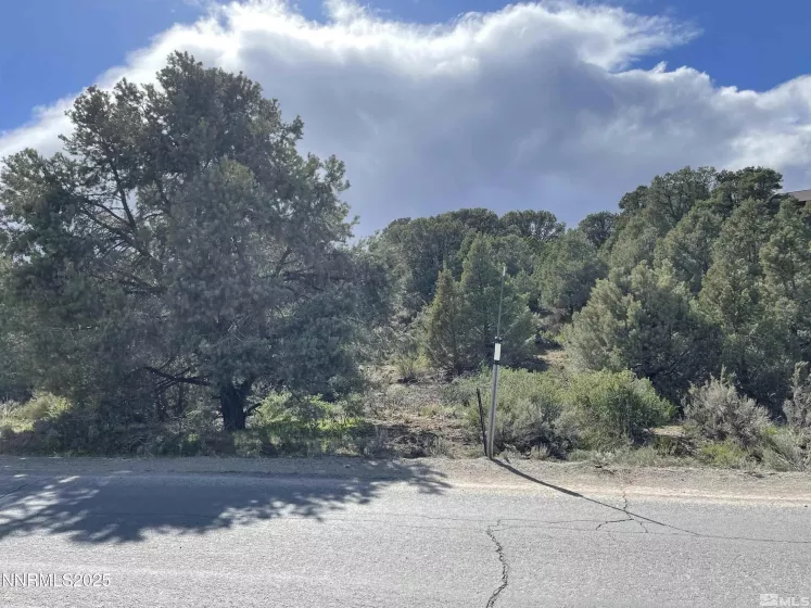 2246 Cartwright, Reno, Nevada 89521, ,Land,Residential,Cartwright,250055620