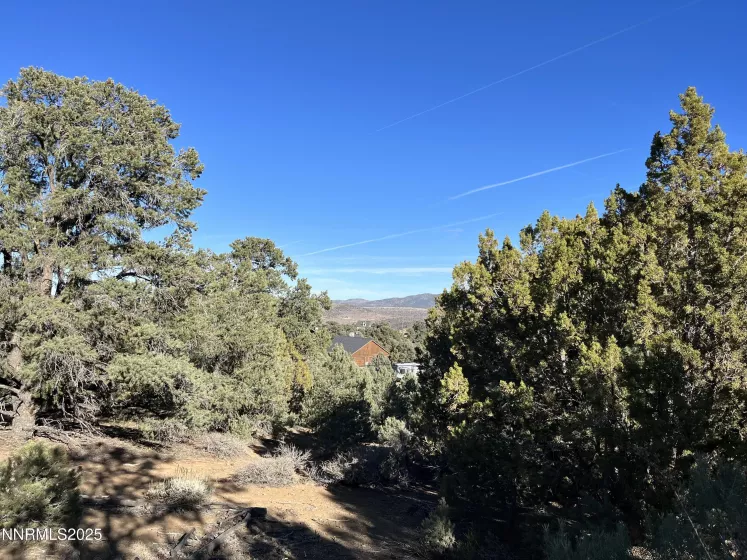 2246 Cartwright, Reno, Nevada 89521, ,Land,Residential,Cartwright,250055620