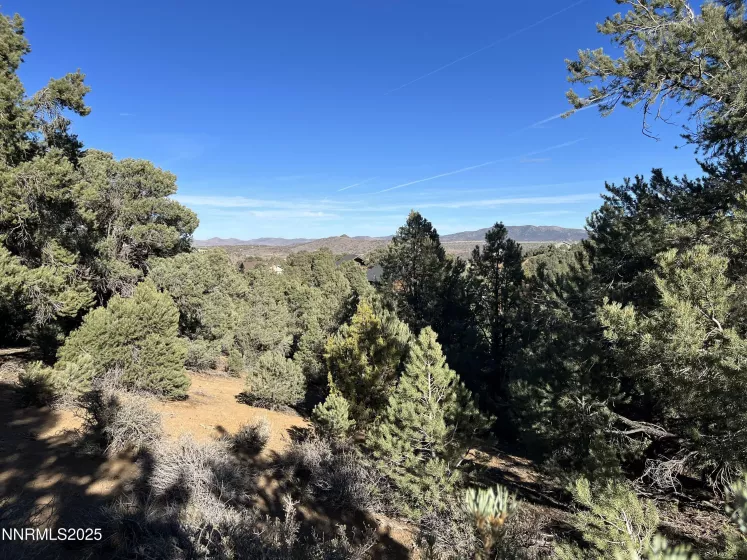 2246 Cartwright, Reno, Nevada 89521, ,Land,Residential,Cartwright,250055620