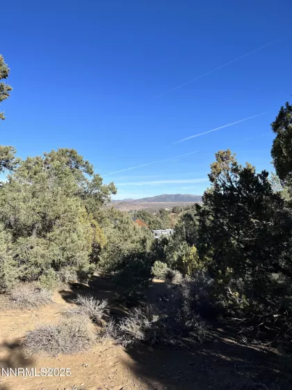 2246 Cartwright, Reno, Nevada 89521, ,Land,Residential,Cartwright,250055620