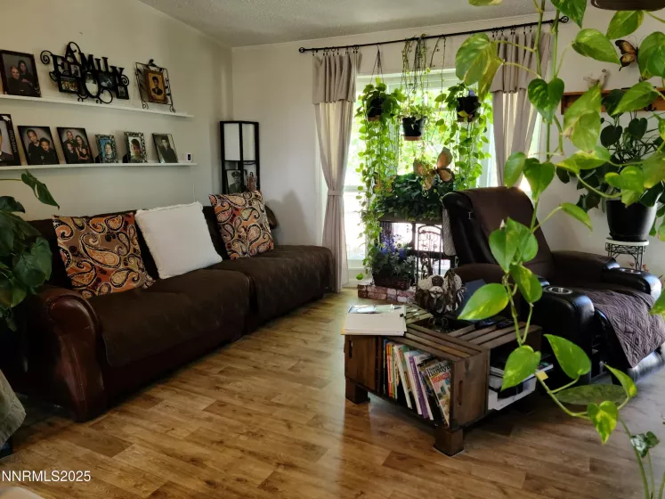 Living Room area