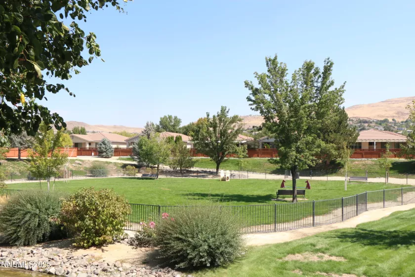 Dog Park