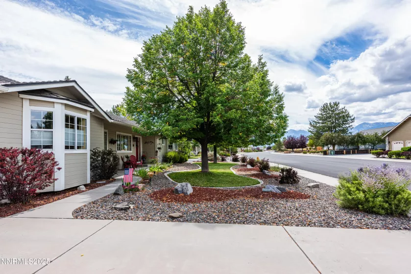 2687 Wildhorse, Minden, Nevada 89423, 3 Bedrooms Bedrooms, ,3 BathroomsBathrooms,Residential,Residential,Wildhorse,250055671