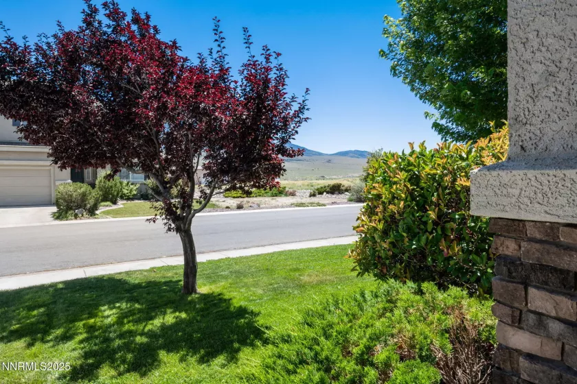 946 Lakeview, Dayton, Nevada 89403, 3 Bedrooms Bedrooms, ,2 BathroomsBathrooms,Residential,Residential,Lakeview,250055676