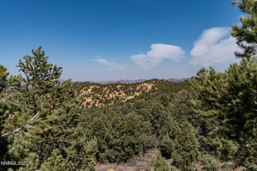 21281 Highland, Reno, Nevada 89521, ,Land,Residential,Highland,250055694