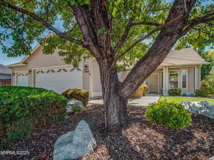 1343 Petar, Gardnerville, Nevada 89410, 2 Bedrooms Bedrooms, ,2 BathroomsBathrooms,Residential,Residential,Petar,250055731