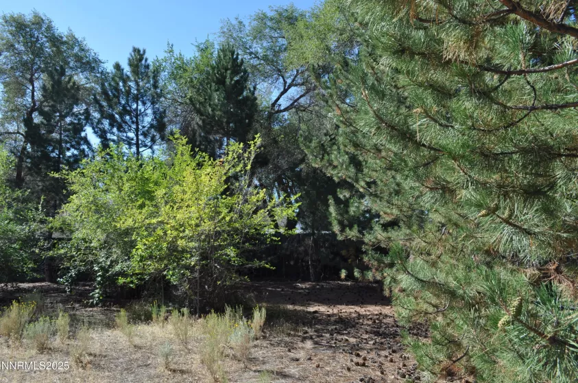 17940 Cold Springs, Reno, Nevada 89508, 2 Bedrooms Bedrooms, ,2 BathroomsBathrooms,Residential,Residential,Cold Springs,250055730